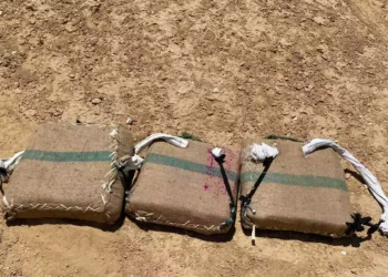 Las FDI frustran el contrabando de 80 kilos de marihuana en la frontera con Egipto