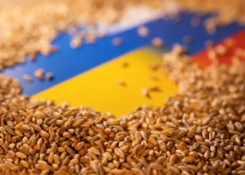 Rusia abandona el acuerdo de exportación de grano de Ucrania