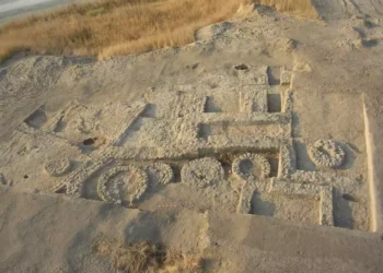 Los primeros árboles frutales cultivados del mundo se plantaron hace 7.000 años en el valle del Jordán