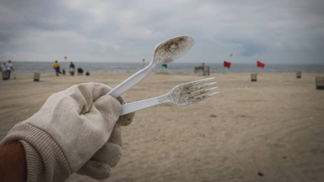 Siete consejos para salvar nuestros océanos