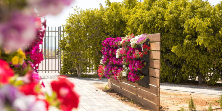 Niños árabes y judíos en Israel plantan un jardín de convivencia