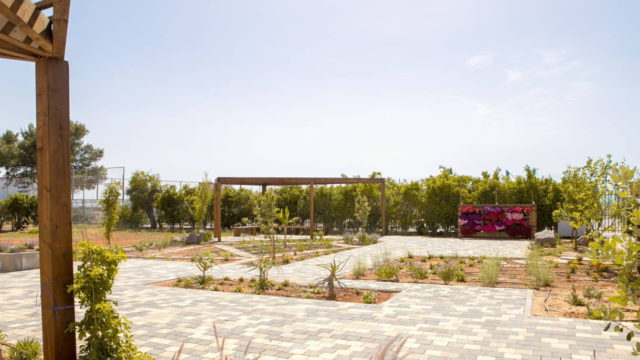 Niños árabes y judíos en Israel plantan un jardín de convivencia