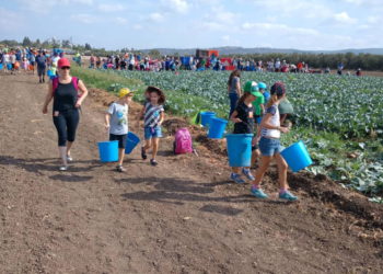 32 actividades en Israel que puedes disfrutar con tus hijos en verano