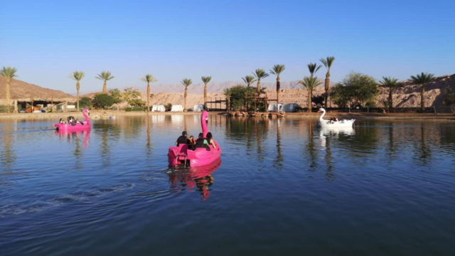 32 actividades en Israel que puedes disfrutar con tus hijos en verano