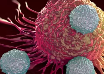 Investigadores israelíes usan la IA para personalizar tratamientos contra el cáncer