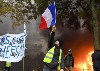 Egipto libera abogado que apoyó las protestas en Francia en 2018