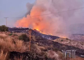 Incendios forestales en el Golán provocan evacuaciones