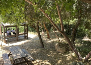 Huérfanos ucranianos encuentran un hogar en Jerusalén