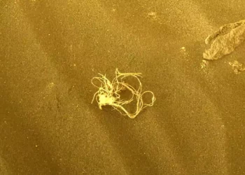 El Perseverance de la NASA detecta un extraño objeto en Marte