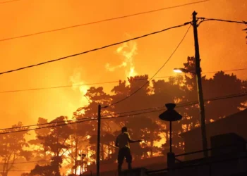 La ola de calor en Europa bate récords y provoca destrucción