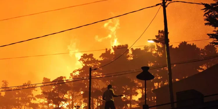 La ola de calor en Europa bate récords y provoca destrucción