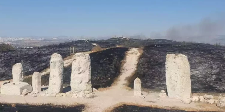 Agricultor incendia accidentalmente el antiguo parque israelí de Tel Gezer