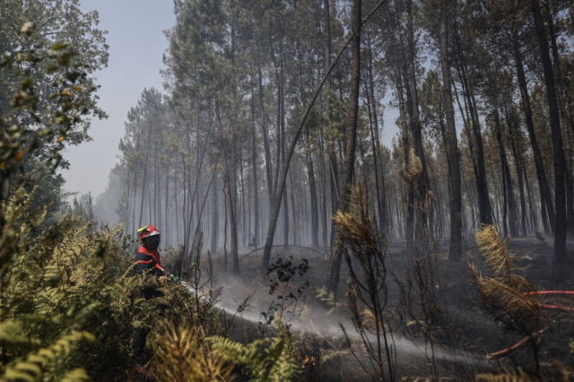 Los incendios forestales se extienden por toda Europa mientras la ola de calor se intensifica