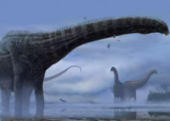 Los dinosaurios sobrevivieron a una extinción con temperaturas bajas