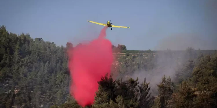 Los bomberos luchan contra un incendio en el bosque de Ben Shemen