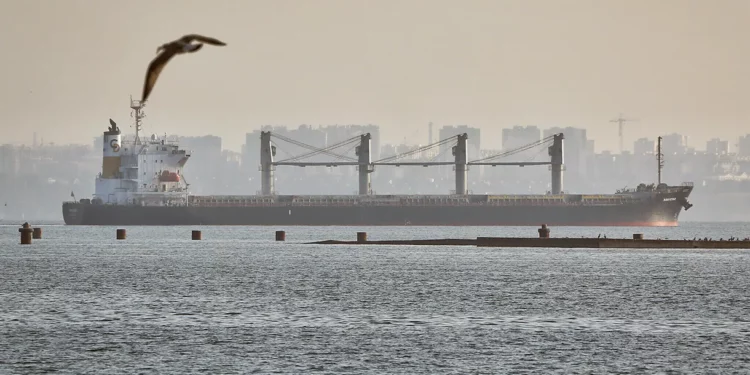 Otros 3 cargamentos de grano salen de los puertos ucranianos