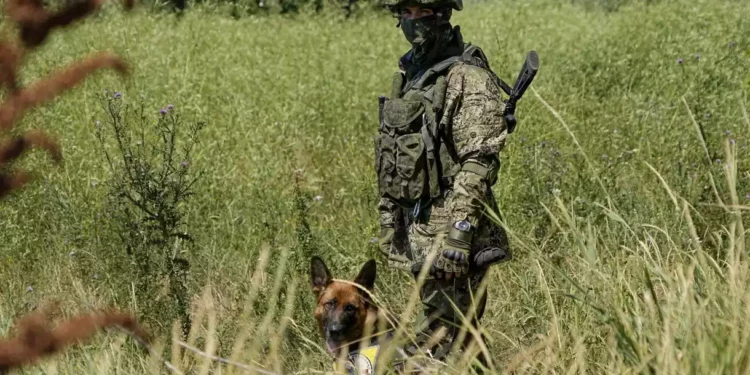 Rusia ofrece a los presos la libertad si luchan contra Ucrania