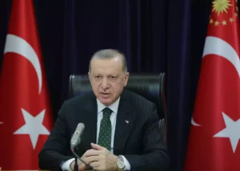 Erdogan dice que buscará poner fin a la guerra en Ucrania “a través de medios diplomáticos”