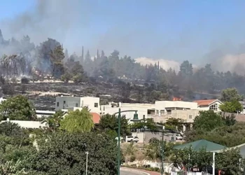 Incendio forestal en Jerusalén provoca la evacuación de viviendas