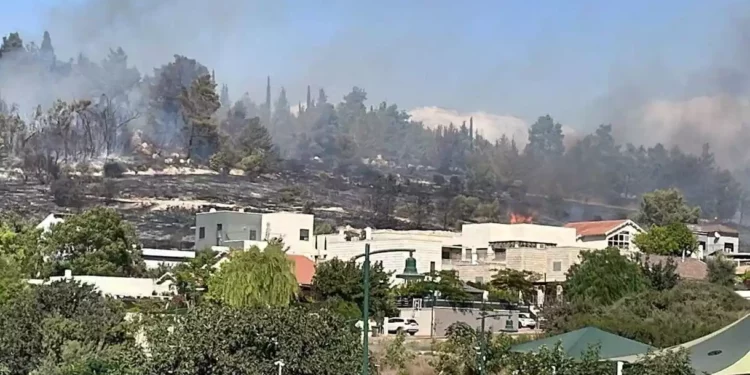 Incendio forestal en Jerusalén provoca la evacuación de viviendas