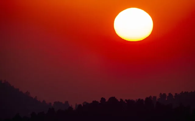 El sol sobre los bosques cerca de Jerusalén el 2 de septiembre de 2021. (Nati Shohat/Flash90)