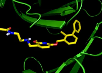 Científicos israelíes ofrecen la primera inmunoterapia contra el cáncer en forma de píldora al mundo