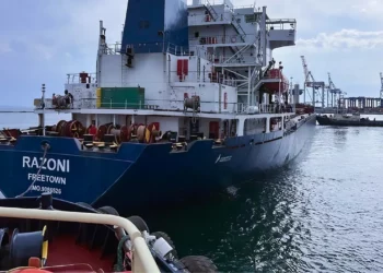 Ucrania busca ampliar el acuerdo de los cereales por el mar Negro