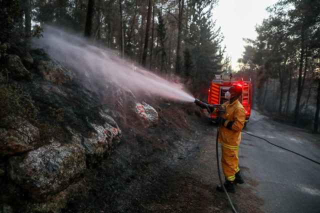 Las temperaturas siguen subiendo en Israel mientras la ola de calor se prolonga