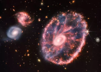 El telescopio Webb capta la colorida galaxia Cartwheel a 500 millones de años luz