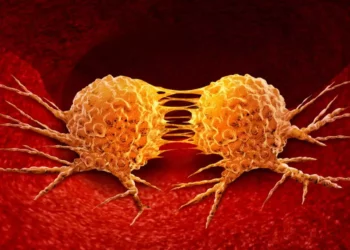 Sustancias químicas presentes en ollas y sartenes están relacionadas con el cáncer de hígado