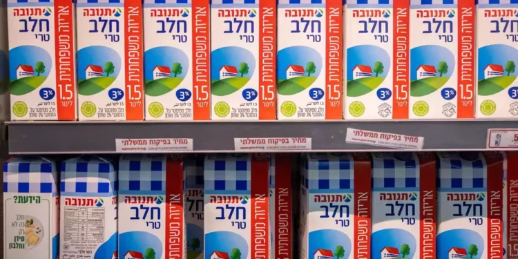 Los precios de la leche y el queso en Israel aumentan un 5% debido a la crisis económica