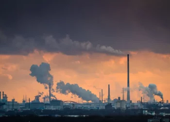 El imparable crecimiento de los mercados de carbono