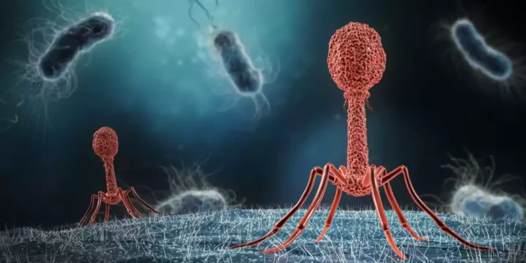 Científicos israelíes desarrollan un virus que elimina bacterias que dañan el intestino