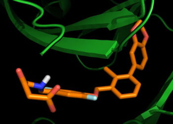 Equipo israelí-portugués desarrolla un nuevo tratamiento contra el cáncer