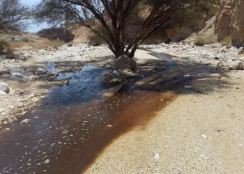 Científicos de Israel encuentran la forma de reciclar las aguas residuales de ácido fosfórico de la industria de los fertilizantes