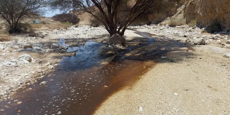 Científicos de Israel encuentran la forma de reciclar las aguas residuales de ácido fosfórico de la industria de los fertilizantes