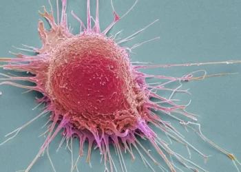 Científicos israelíes lideran la búsqueda de tratamientos contra el cáncer
