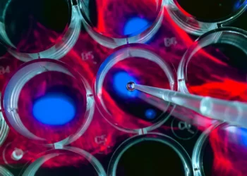 La tecnología israelí puede reducir los efectos secundarios y aumentar el alcance de los medicamentos contra el cáncer