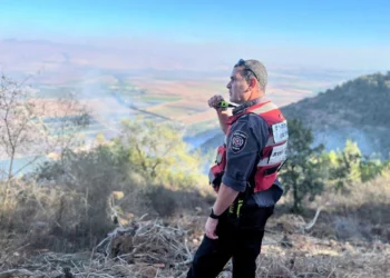 Se movilizan bomberos y aviones para combatir incendios cerca de Jerusalén