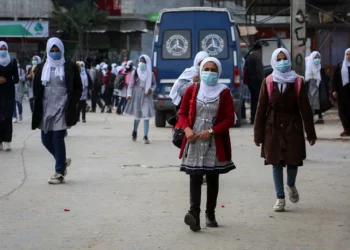 Textos escolares palestinos niegan el Holocausto y legitiman la masacre de Múnich