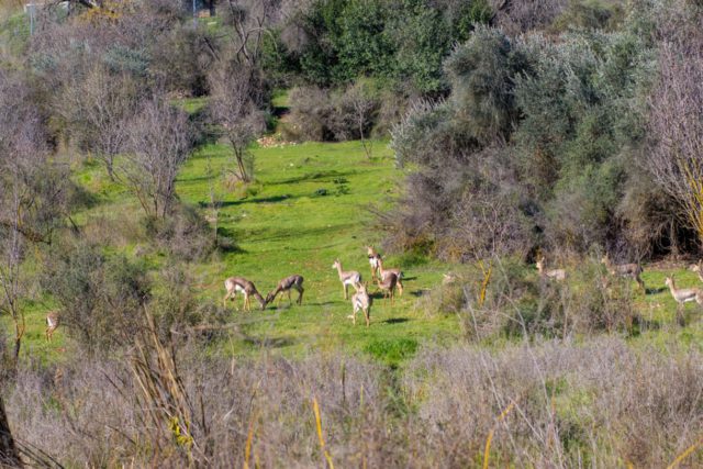 18 actividades gratuitas que se pueden realizar en Jerusalén