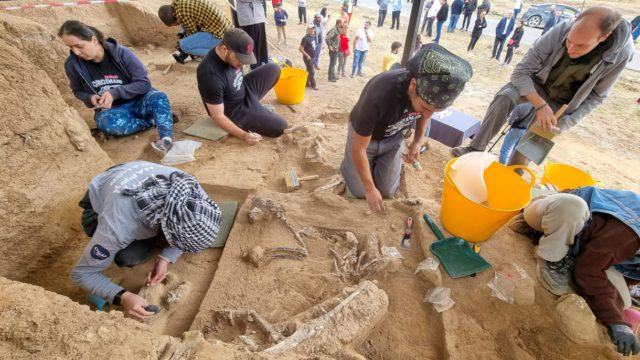 Arqueólogos georgianos encuentran un diente humano de 1,8 millones de años