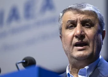 El jefe del OIEA se reúne con el jefe del programa nuclear iraní en Viena