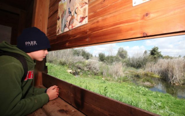 18 actividades gratuitas que se pueden realizar en Jerusalén