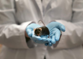 Laboratorio israelí de biotecnológica crea la primera empresa de IA