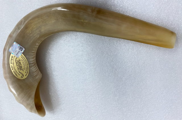 Conozca la inesperada historia del shofar festivo