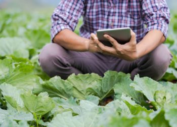 100 años de innovación convierten a Israel en líder agrícola