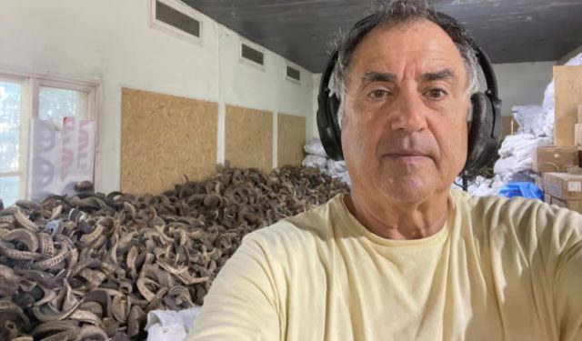 Conozca la inesperada historia del shofar festivo