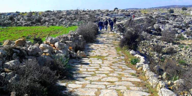 Arqueólogos hallan una calzada romana de 2.000 años de antigüedad