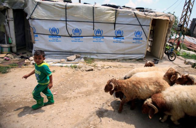 Refugiados sirios regresan a sus hogares tras el inicio del plan de repatriación libanés